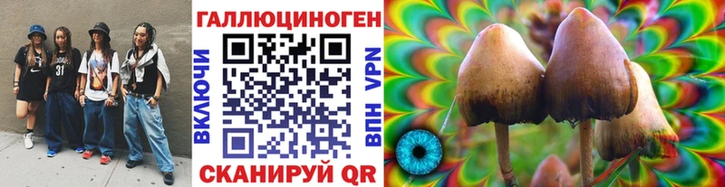 Псилоцибиновые грибы прущие грибы  blacksprut маркетплейс  Томск 